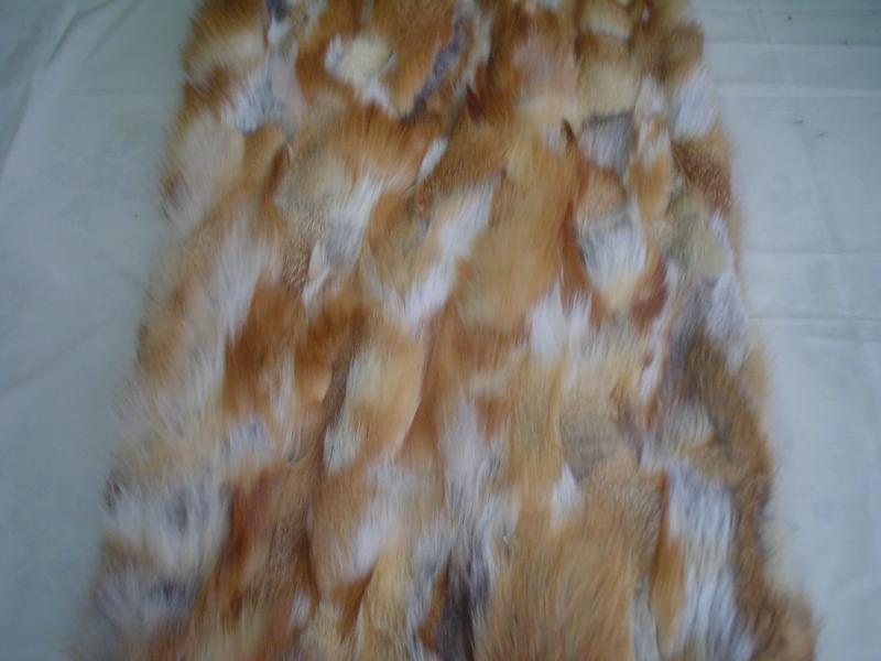 Natural Red Fox